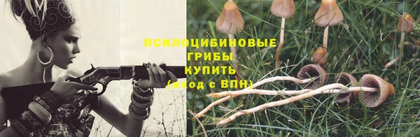 спиды Алзамай