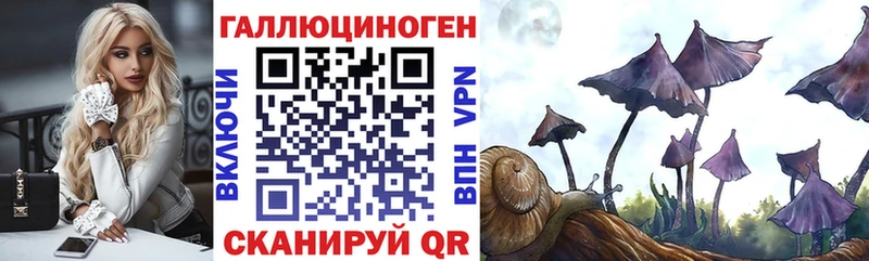 купить  сайты  Череповец  Галлюциногенные грибы Psilocybine cubensis 