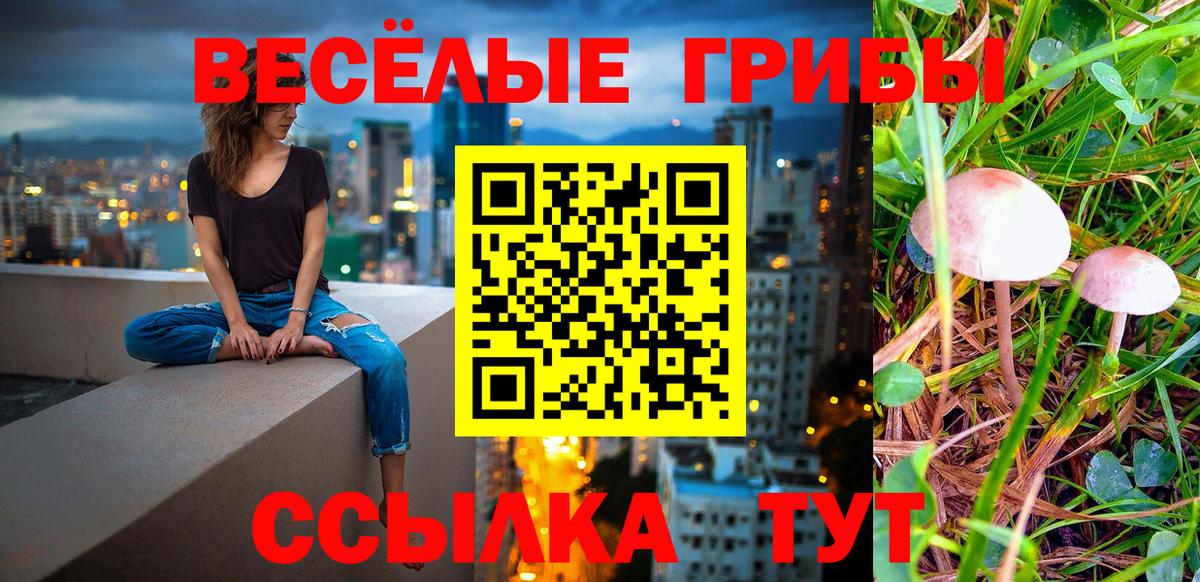 Галлюциногенные грибы GOLDEN TEACHER Череповец